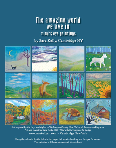 Amazing World 2020 calendar back